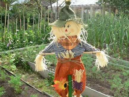 De ce să folosiți o grădină de sperietoare în grădină
