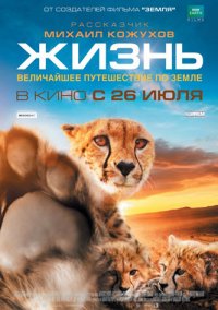 Документальні фільми про природу і тварин дивитися онлайн