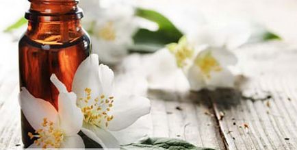 Ефірна олія жасмину властивості і застосування натурального продукту в домашніх умовах