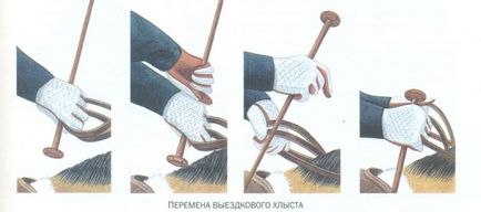 Îmbrăcăminte jacheta călăreț, pantalonii scurți, mănuși, pantofi, cască și vesta