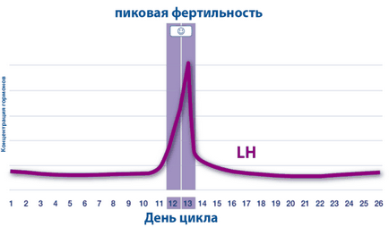 Fertilitatea la femei ce este, testează, crește