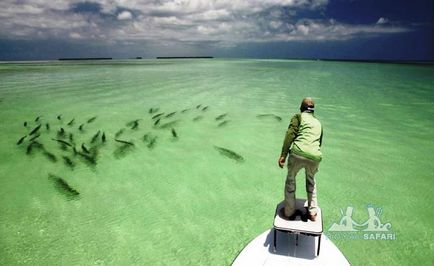 Florida de pescuit în Florida