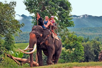 În cazul în care să călătorească elefanți, care arată transvestit este mai bine și alte sfaturi pentru atracții