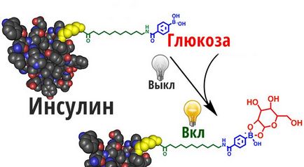 Гормон інсулін механізм дії, норма вмісту, зниження рівня інсуліну