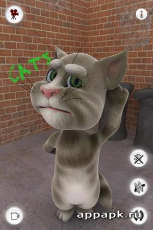 Хто говорить кіт тому скачати talking tom cat