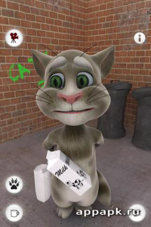 Beszélő macska letöltése Talking Tom macska