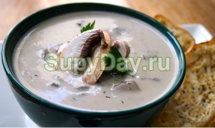 Supă de ciuperci cu cremă - pentru iubitorii de rețetă gustoasă cu fotografii și videoclipuri