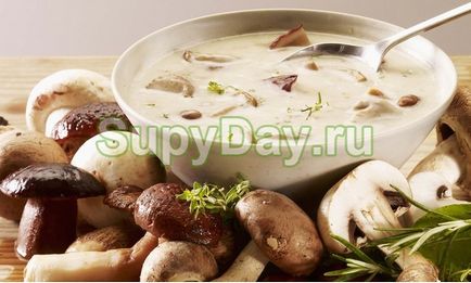 Грибний суп з вершками - для любителів чогось смачненького рецепт з фото і відео