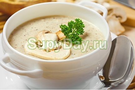 Supă de ciupercă cu cremă - pentru iubitorii de rețetă gustoasă cu fotografii și videoclipuri