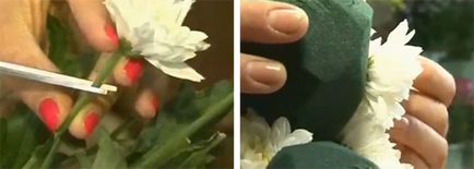 Іграшки з живих квітів своїми руками (майстер клас), жіноче хобі