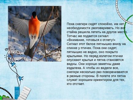 Дослідницька робота - де проводять літо снігурі