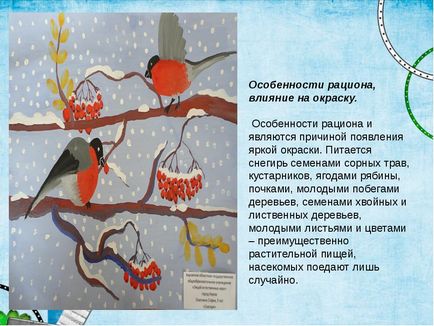 Дослідницька робота - де проводять літо снігурі