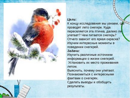 Дослідницька робота - де проводять літо снігурі