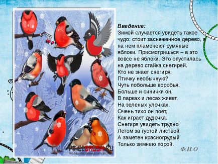 Дослідницька робота - де проводять літо снігурі