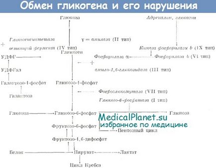 I тип глікогенозу (хвороба Гірке) - причини, клініка