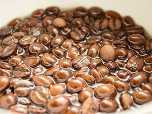 Noi producem ulei de hidrofil din cafea aromatică prin mâinile noastre - târg de maeștri - manual