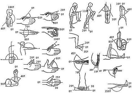 Măsurarea flexibilității coloanei vertebrale