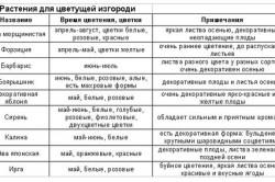 Які чагарники підходять для живоплоту види живоплотів (фото)