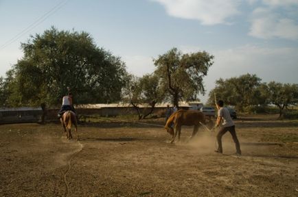 Cum fac kazahii cârnați de cai (64 fotografii)