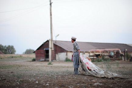 Cum fac kazahii cârnați de cai (64 fotografii)
