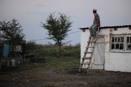 Cum fac kazahii cârnați de cai (64 fotografii)