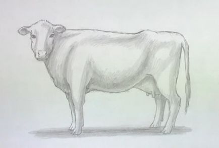 Як намалювати корову