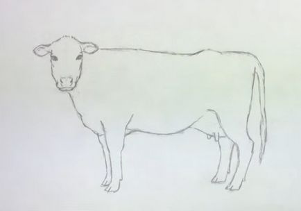 Cum de a desena o vacă