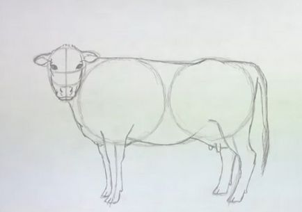 Cum de a desena o vacă