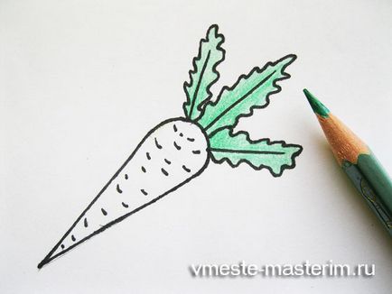 Cum să atragă morcovi în etape (clasa de master)