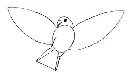 Як намалювати птаха олівцем поетапно для дітей, ls