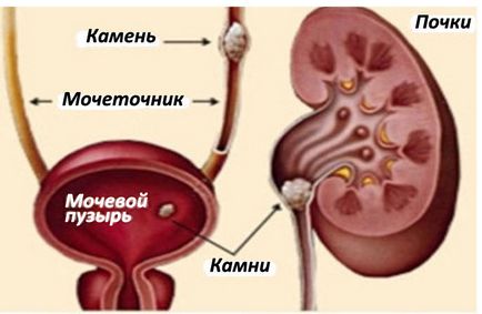 Як поправити здоров'я серця