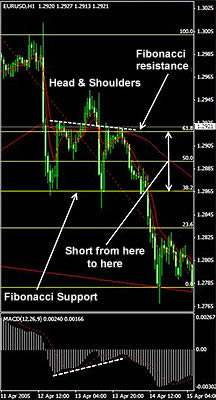 Cum sa profitati de tranzactionarea Forex