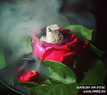 Cum să gătești o narghilea pe un trandafir
