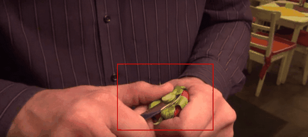 Cum să gătești o narghilea pe un trandafir cu propriile tale mâini la fotografii acasă și clipuri video