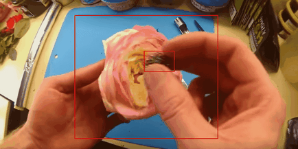 Як приготувати кальян на троянді своїми руками будинку фото і відео