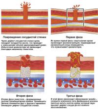 Cum coagularea sângelui (cunoaștere - fiziologie umană)