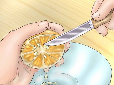 Cum să germineze semințele unui portocalist vrăjitor