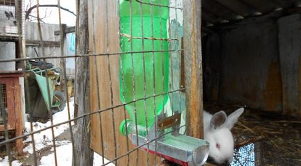 Cum se face un bol de băut pentru iepuri cu propriile mâini mamelon, automat, dintr-o sticlă cu desene