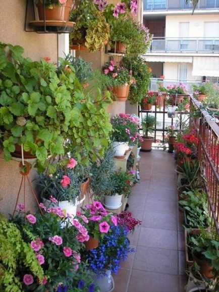 Cum de a crea o grădină frumoasă pe balcon - târg de meșteșugari - manual, manual