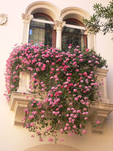 Cum de a crea o grădină frumoasă pe balcon - târg de meșteșugari - manual, manual