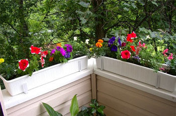 Cum de a crea o grădină frumoasă pe balcon - târg de meșteșugari - manual, manual