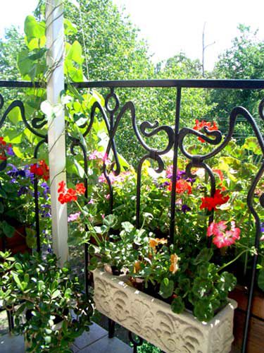 Як створити прекрасний сад на балконі - ярмарок майстрів - ручна робота, handmade