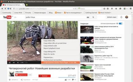 Cum se instalează playerul flash 17 în ubuntu