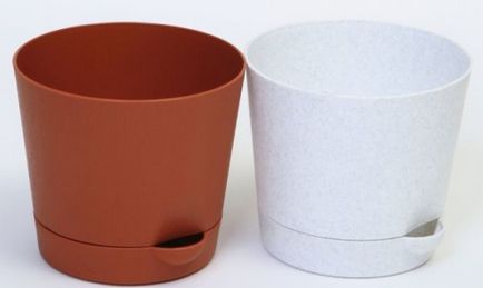 Як вибрати горщик для кімнатної рослини пластик або кераміка
