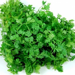 Chervil, tărâmul țării