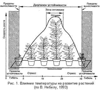 Fluctuația populației - ecologie