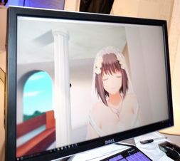 Clubul Konnichiwa - în Japonia, pentru prima dată a avut loc o nuntă cu o fată virtuală