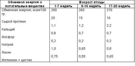 Годування молодняка птиці яєчних кросів, головний фермерський портал - все про бізнес в сільському