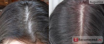 Фарба для волосся fiona vintage - «баклажан до і після», відгуки покупців