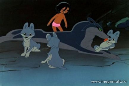 Cine a înlocuit-o pe mamă cu Mowgli (era gata să lupte) Cine ia înlocuit pe mamă cu Mowgli